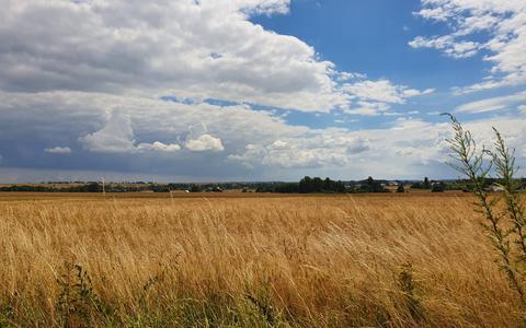 Graanvelden in het westen van Oekraïne.