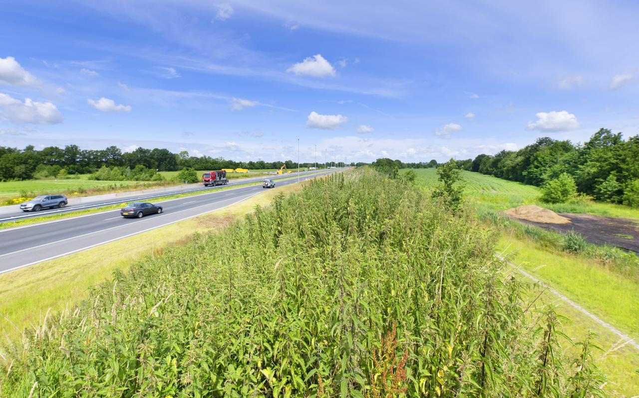 Beeld van agrarisch land naast de Sintrale As bij Burgum-West waarmee wordt gespeculeerd. Beeld van agrarisch land naast de Sintrale As bij Burgum-West waarmee wordt gespeculeerd.