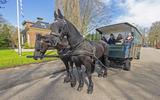 Feestelijke opening van de historische route Feanwâlden, zaterdag, met paardentram.