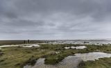 De Waddenzee in de omgeving van Schiermonnikoog. 