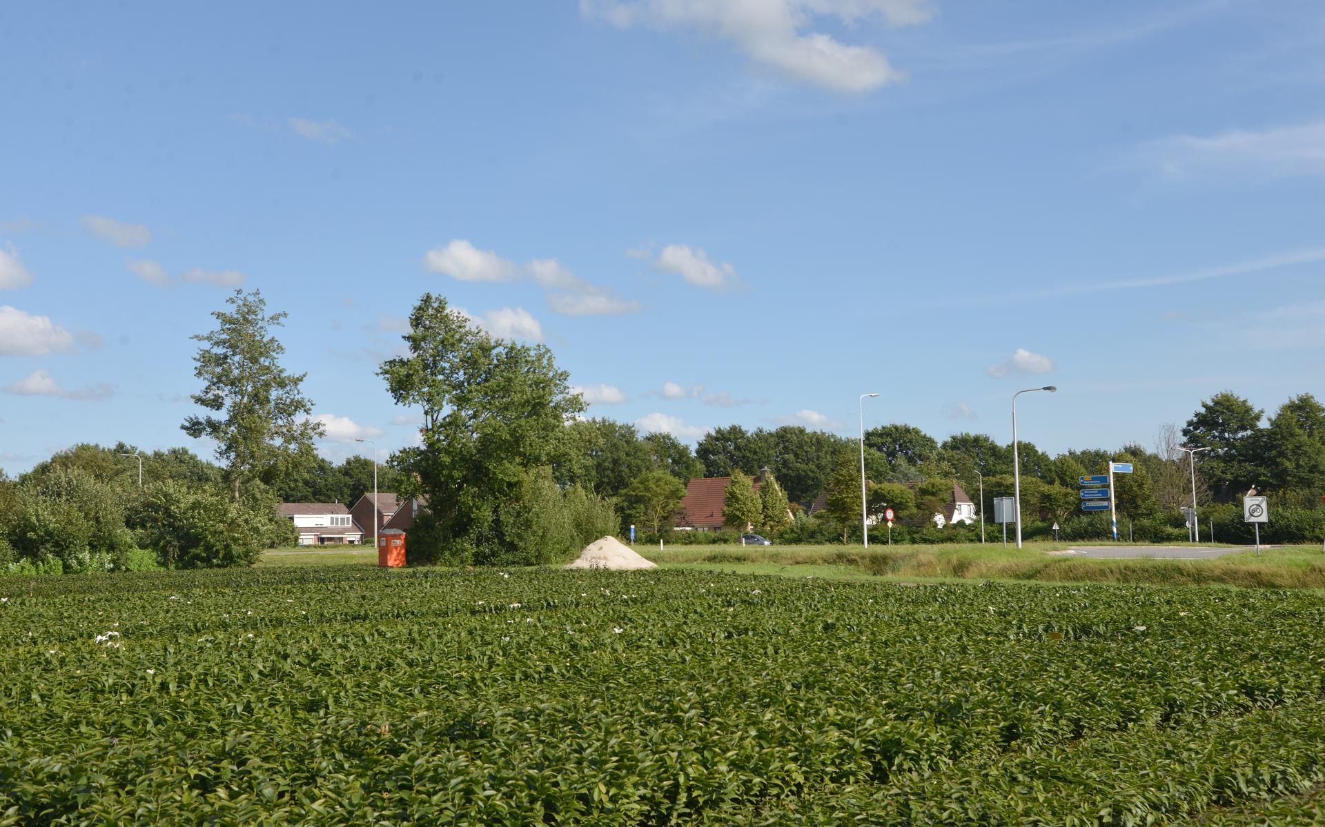 Provincie Fryslân zit met een handhavingsverzoek van Meten=Weten tegen lelieteler in Boijl in de maa
