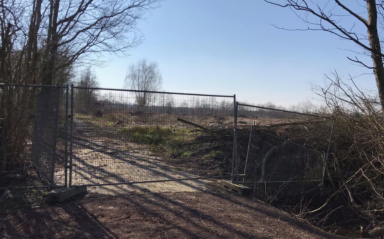 Het braakliggende terrein van houtindustrie Buitenpost waar tot vorig jaar de (vervallen) kassen stonden van de Nederlandse Aardappelkeuring Het braakliggende terrein van houtindustrie Buitenpost waar tot vorig jaar de (vervallen) kassen stonden van de Nederlandse Aardappelkeuring