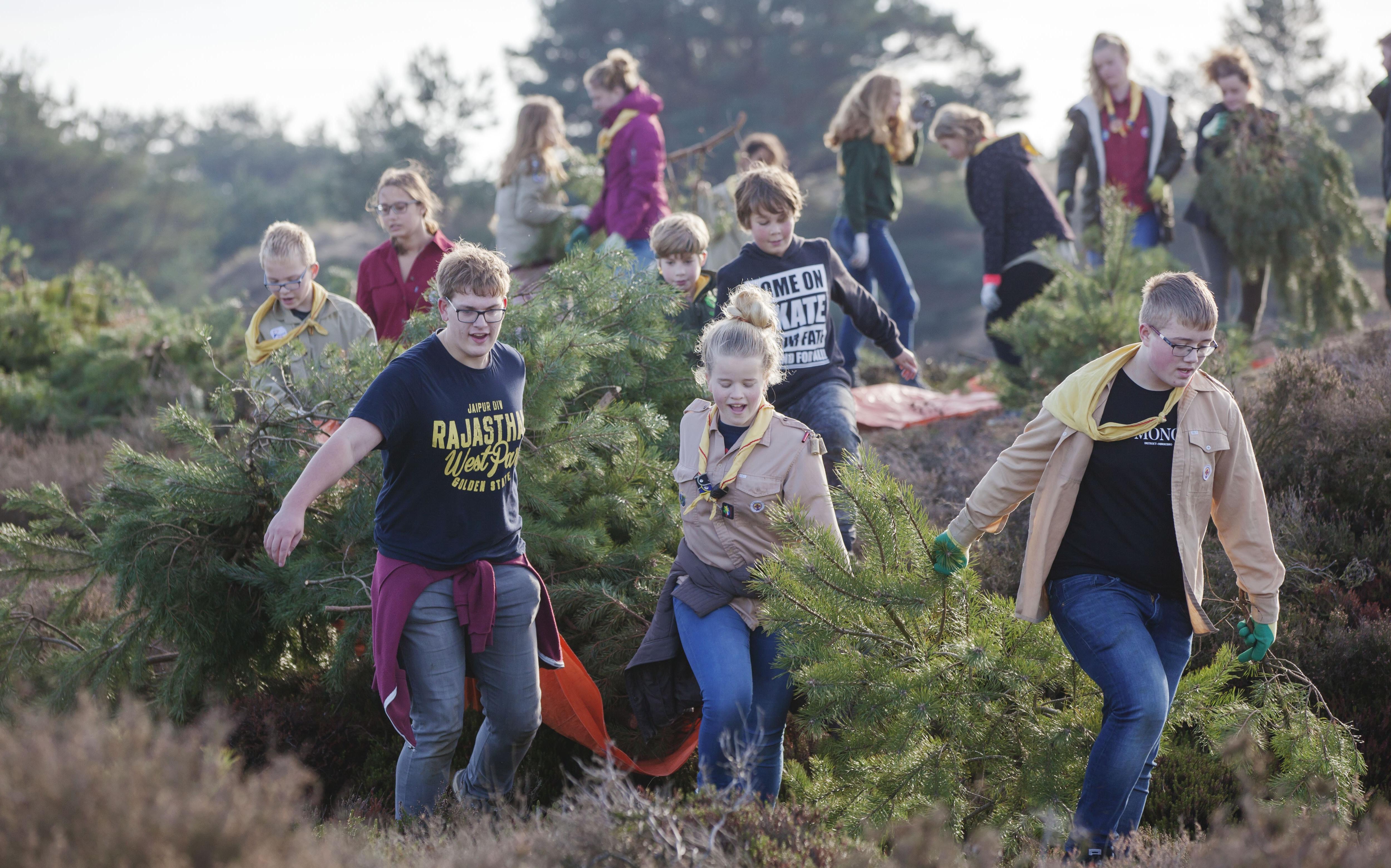 Natuurwerkdag in het Aekinger Zand in Appelscha in 2018. Natuurwerkdag in het Aekinger Zand in Appelscha in 2018.