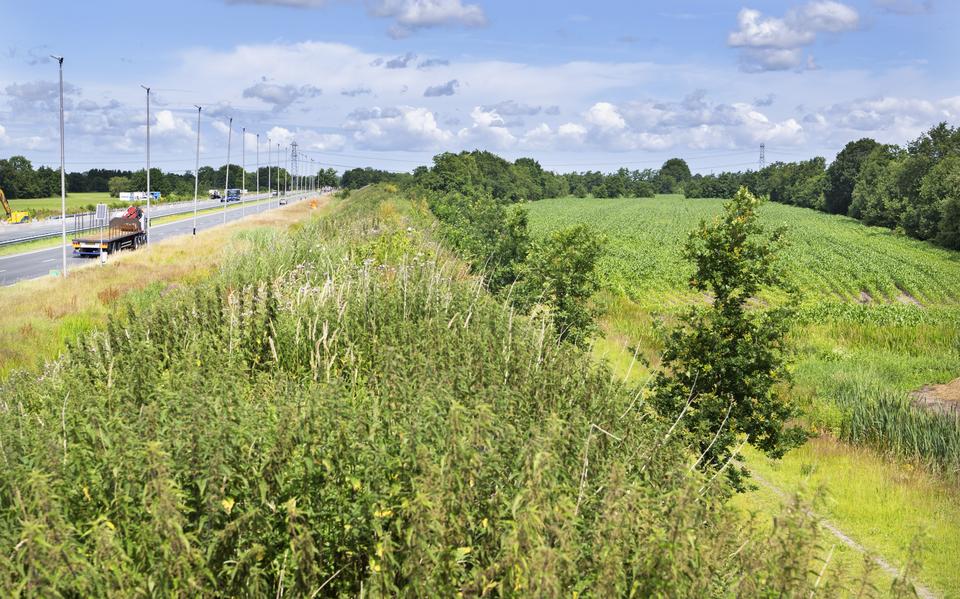Beeld van agrarisch land naast de Sintrale As bij Burgum-West waarmee wordt gespeculeerd.
