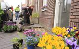 In Hindeloopen werd in april vorig jaar met hulp van de provincie Fryslân en de gemeente Súdwest-Fryslân een geveltuin aangelegd. 