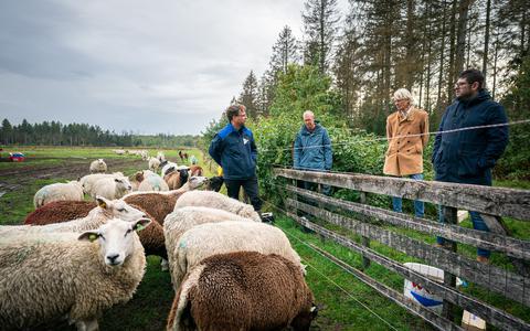 De FNP bracht in 2020 een bezoek aan een schapenhouder in Drenthe. De boer liet zien hoe hij met een hek de wolf probeert te weten.
