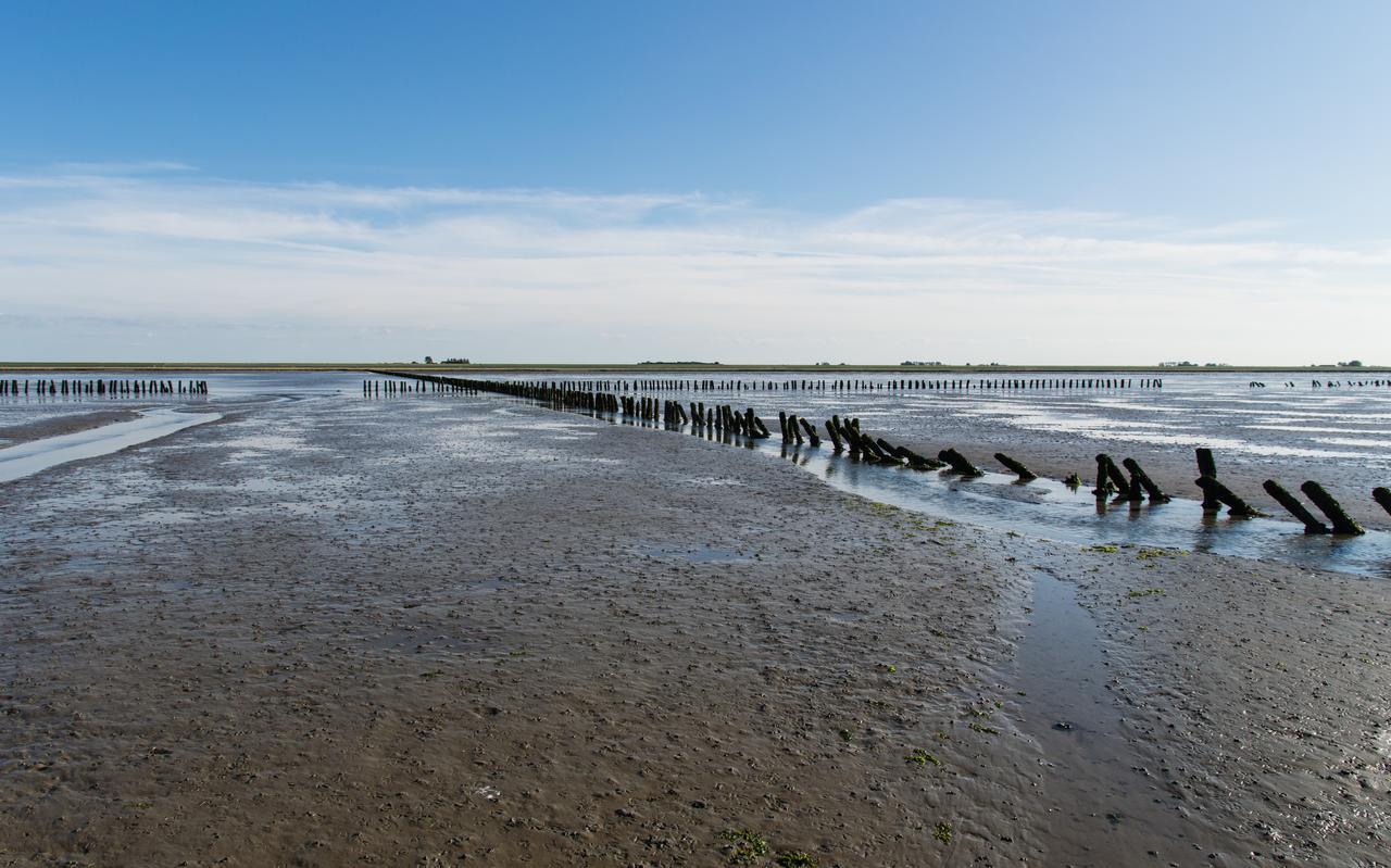 Het Waddengebied. Het Waddengebied.