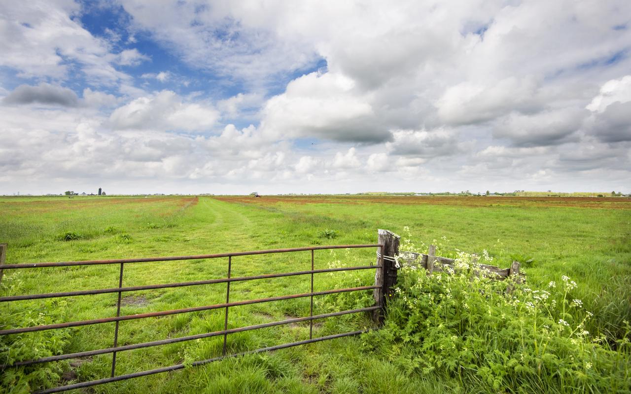 De polder bij Earnewâld die geschikt is gemaakt voor meer weidevogels. In het nieuwe EU-landbouwbeleid moet er meer geld gaan naar dergelijke initiatieven. De polder bij Earnewâld die geschikt is gemaakt voor meer weidevogels. In het nieuwe EU-landbouwbeleid moet er meer geld gaan naar dergelijke initiatieven.