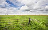 De polder bij Earnewâld die geschikt is gemaakt voor meer weidevogels. In het nieuwe EU-landbouwbeleid moet er meer geld gaan naar dergelijke initiatieven. 
