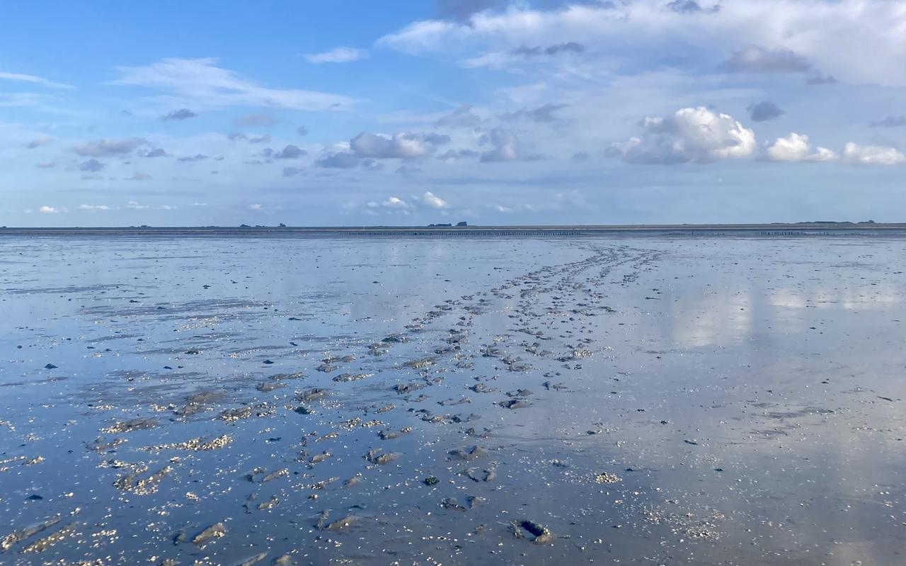 Het Waddengebied. Het Waddengebied.