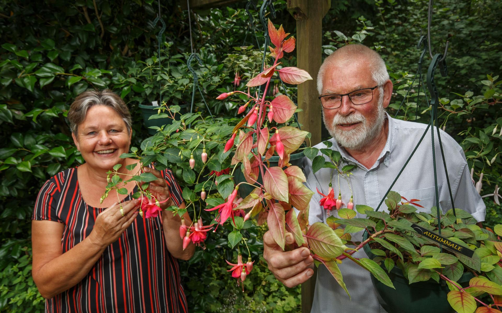 Stekjes maken hebberig, merken Fuchsiavrienden Kees en Grietje uit Oudehorne: 'Dan ûntdekst dy soart