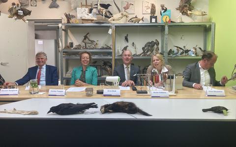 Gedeputeerde Staten hield de wekelijkse persconferentie deze keer in het taxidermologisch atelier van Natuurmuseum Fryslân in Leeuwarden. Tweede van rechts: Avine Fokkens. 
