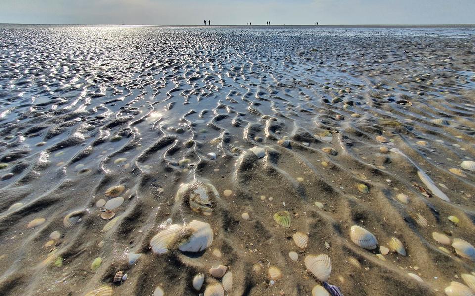 De Waddenzee.