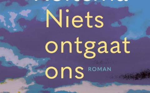 Omslag van de roman 'Niets ontgaat ons' van Janke Reitsma.