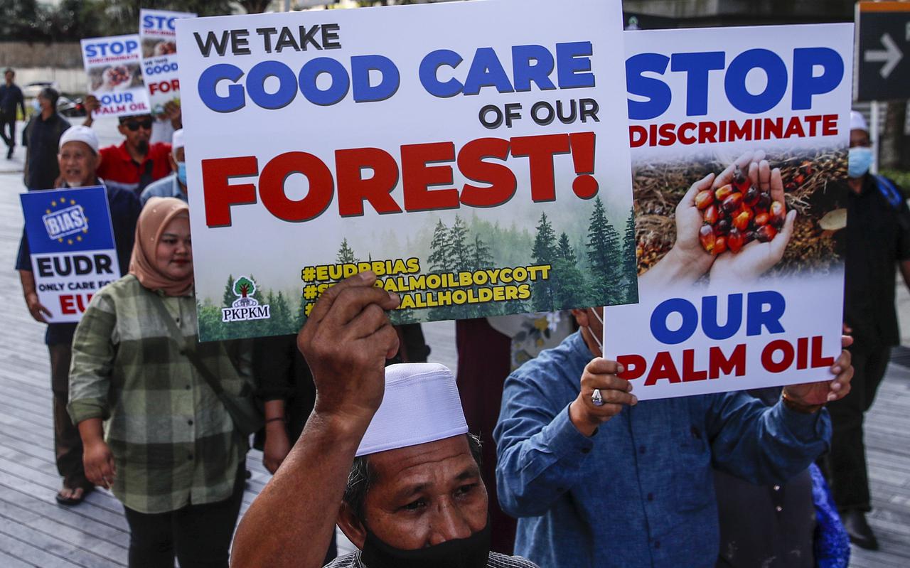 Kleine palmolieboeren in Maleisië protesteerden vorige maand in Kuala Lumpur tegen de Europese wetgeving tegen ontbossing. De wetgeving komt volgens hen vooral grotere producenten goed uit, omdat zijzelf amper zijn gecertificeerd.