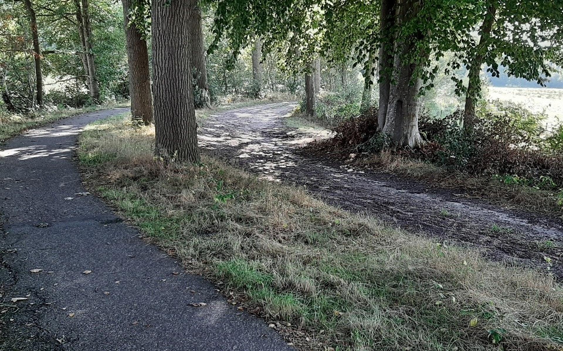 Fietspaden tussen Wijnjewoude en Bakkeveen worden opgeknapt - Friesch Dagblad