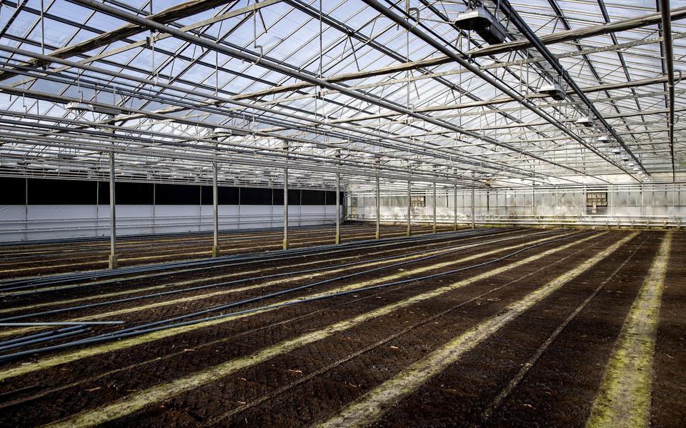 De lege kas van een bloemenkweker. De glastuinbouw heeft last van de stijgende energieprijzen, die ervoor zorgen dat veel kwekers in de wintermaanden tijdelijk stoppen. 