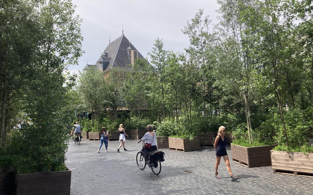 Bosk stond in juli op de steenvlakte van het Waagplein in Leeuwarden. Bosk stond in juli op de steenvlakte van het Waagplein in Leeuwarden.