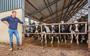 Boer Nick Samsom uit Sonnega houdt maandag zijn koeien op stal uit protest tegen de mogelijke stikstofvergunning voor het weiden van vee. 
