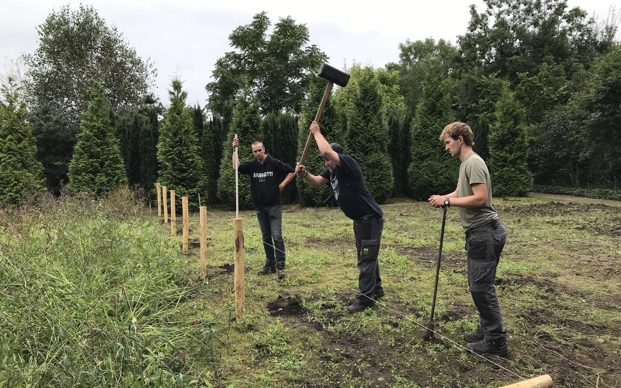 Assistent-hoveniers zijn op een braakliggend stuk bezig om palen in de grond te slaan. Assistent-hoveniers zijn op een braakliggend stuk bezig om palen in de grond te slaan.
