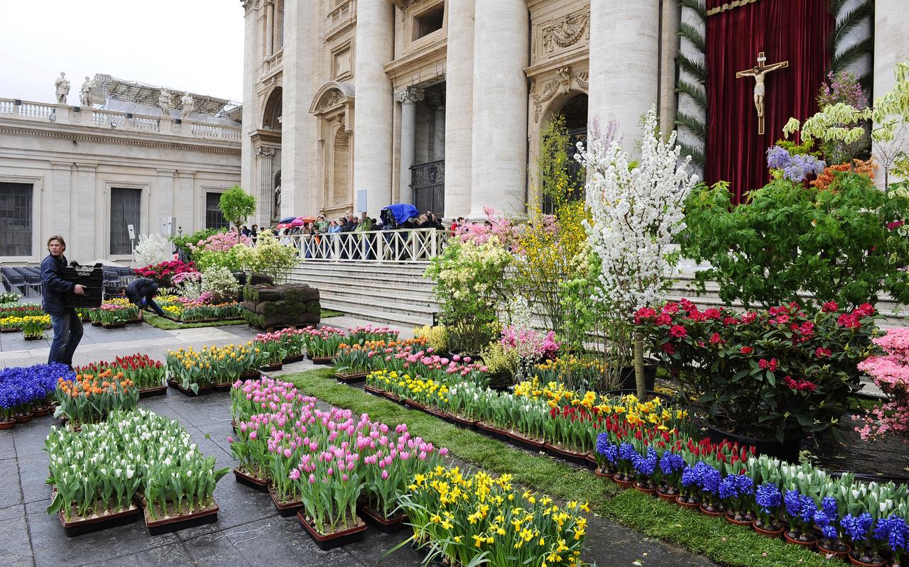 Het Sint Pietersplein in Rome werd in 2012 versierd met bloemen van de Nederlandse bloemist Charles van der Voort. Op Paaszondag sprak de paus hier het Urbi et Orbi uit. ANP Het Sint Pietersplein in Rome werd in 2012 versierd met bloemen van de Nederlandse bloemist Charles van der Voort. Op Paaszondag sprak de paus hier het Urbi et Orbi uit. ANP