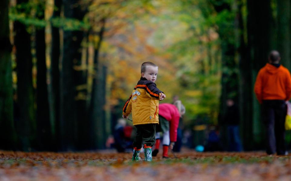 Onderzoek wijst uit: buiten spelen is niet alleen goed voor kinderen
