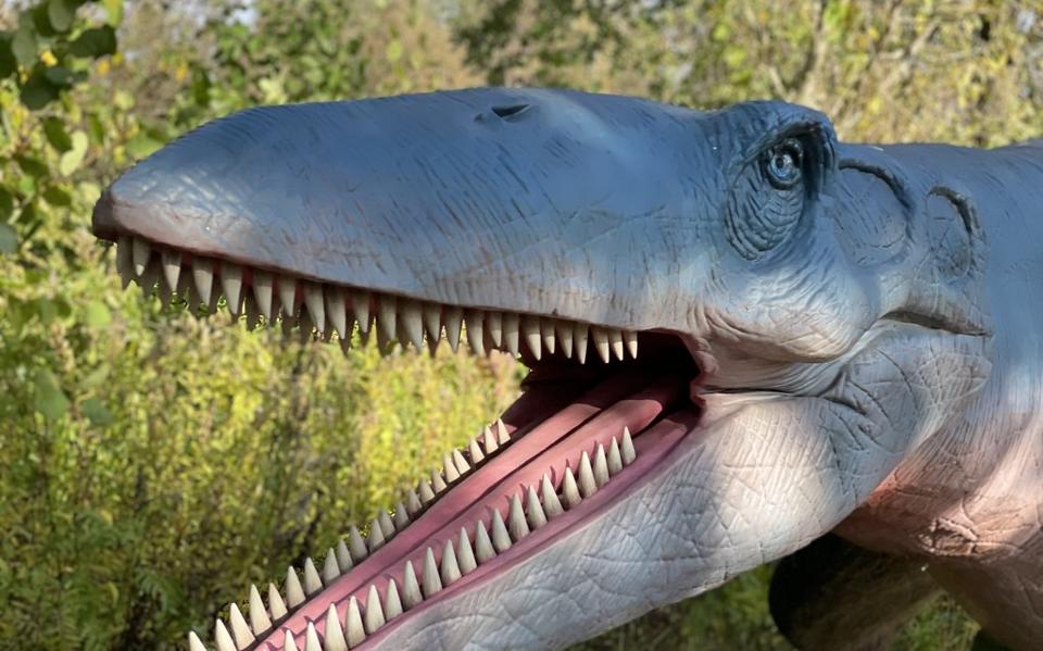 Een nagemaakte dinosaurus bij AquaZoo.