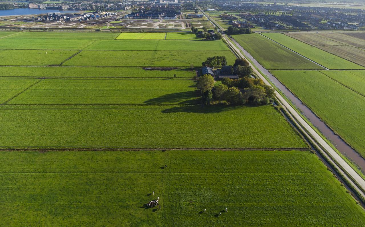 Dronefoto van boerderijen in het landbouwgebied in de Mastenbroekerpolder bij Zwolle. Dronefoto van boerderijen in het landbouwgebied in de Mastenbroekerpolder bij Zwolle.
