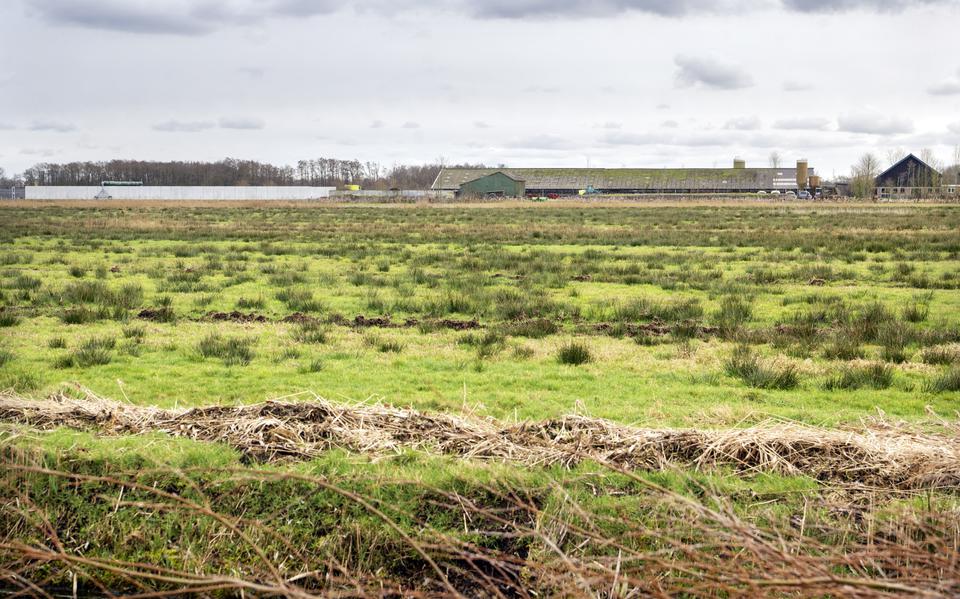 Een betonnen sleufsilo bij een boerderij langs de Ottemawei bij Hurdegaryp. Het Friese landschap komt steeds meer onder druk te staan.