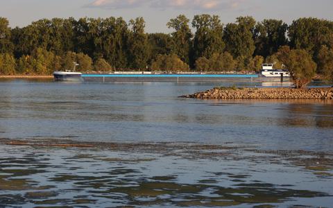 De scheepvaart op de Rijn krijgt het steeds lastiger. Binnenvaartschepen kunnen nog blijven passeren tot een waterpeil van ongeveer 30 tot 35 centimeter. De waterstand dreigt daar nu onder te zakken. 