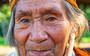 Bij ouderen in de Amazone komt dementie maar weinig voor. 