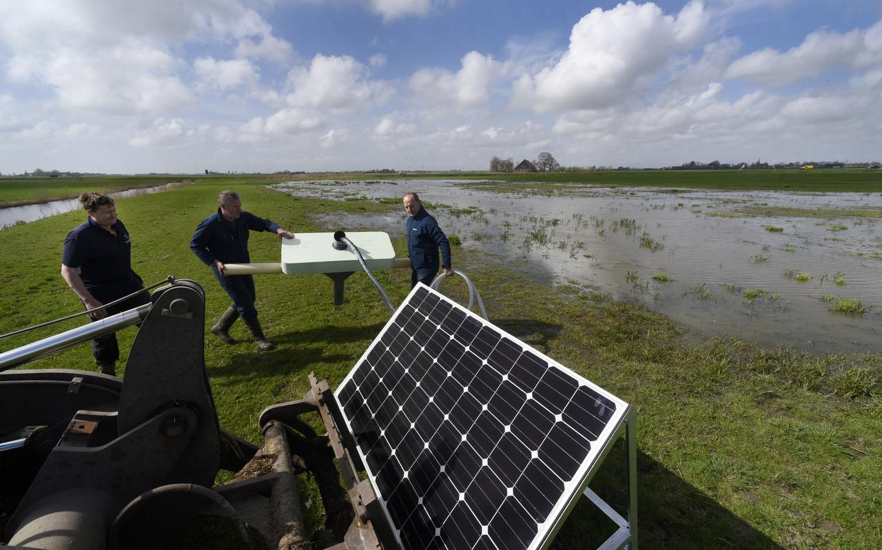 Een plasdrasgebied in een weiland bij Hilaard Een plasdrasgebied in een weiland bij Hilaard
