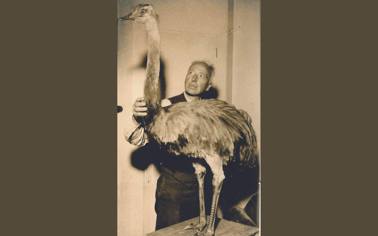Gerrit 'Fûgeltsje' Bosch met de opgezette nandoe.. Gerrit 'Fûgeltsje' Bosch met de opgezette nandoe..