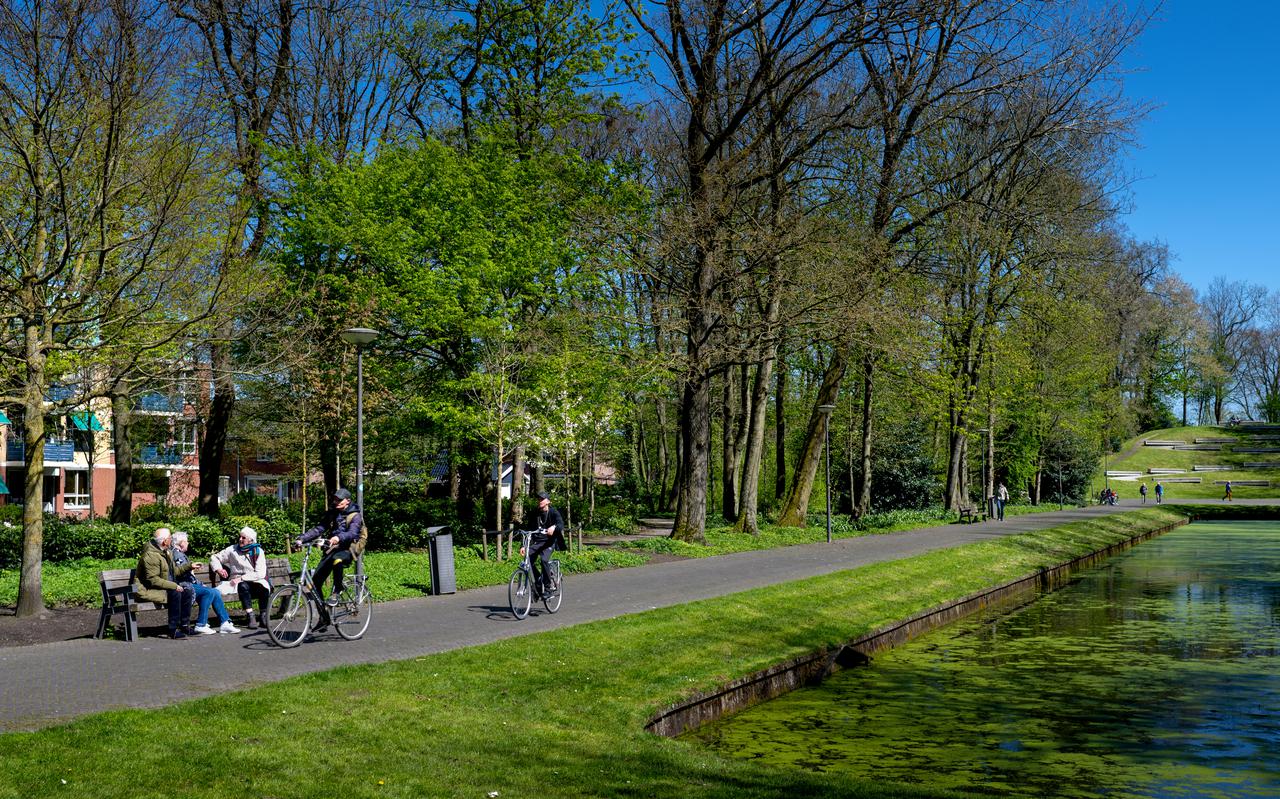 Het Reidingpark in Drachten, één van de gehekelde parken.