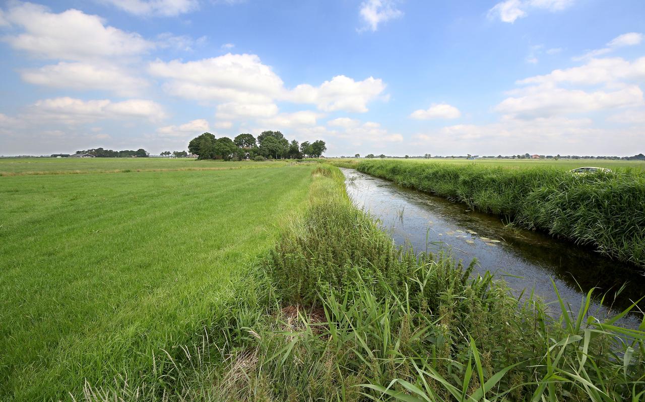 Veenweidegebied bij Aldeboarn, De Veenhoop en Tijnje. Veenweidegebied bij Aldeboarn, De Veenhoop en Tijnje.
