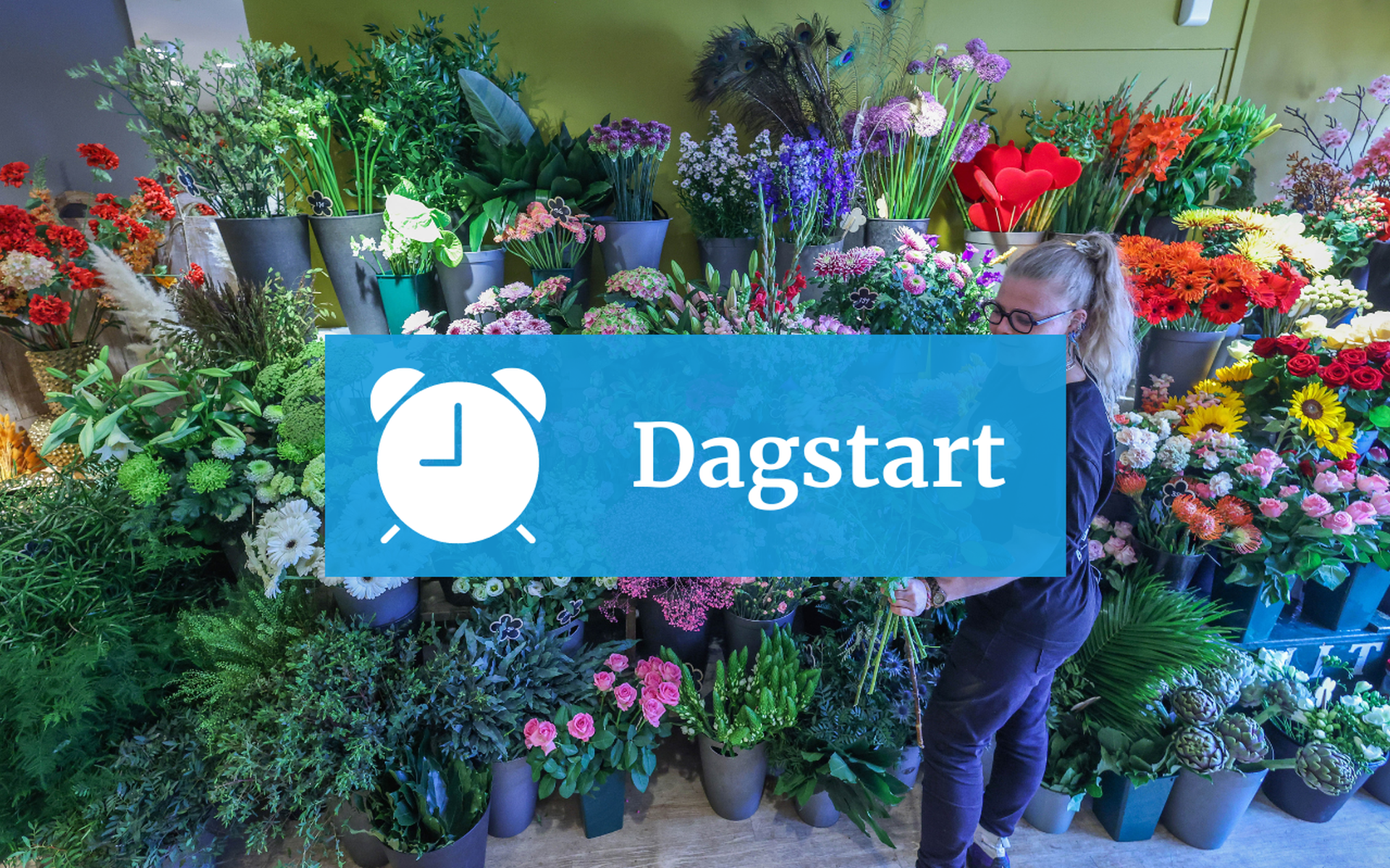 Anneke Douma in bloemenzaak It Blomhûs aan de Oosterdijk in Sneek.
