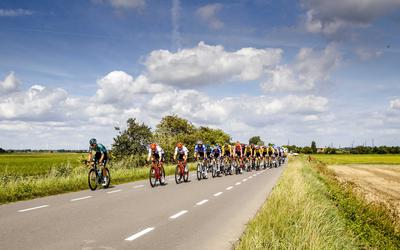 Het peloton nabij Fijnaart tijdens de derde etappe van de Vuelta.