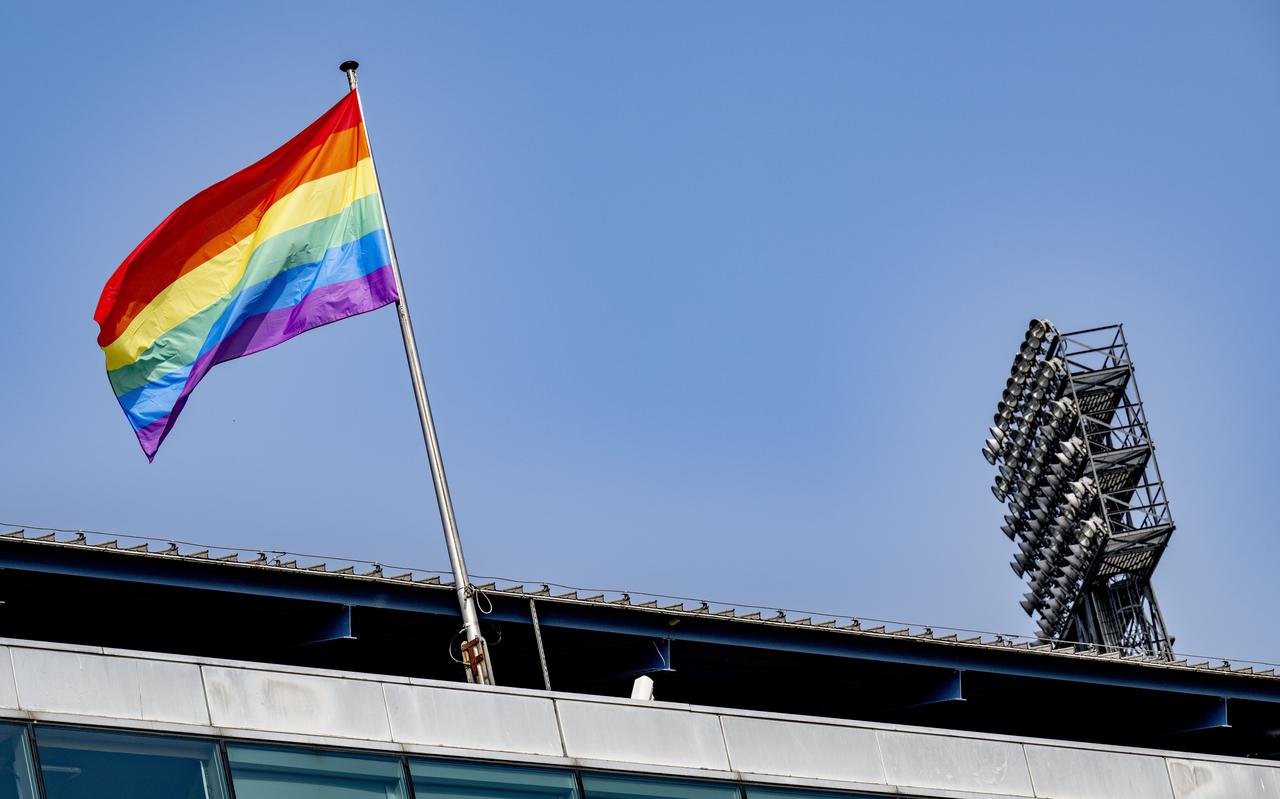 De regenboogvlag bij het Feyenoord-stadion in Rotterdam. Volgens bestuurskundige Paul Frissen gaan diversiteit en inclusie principieel niet samen.