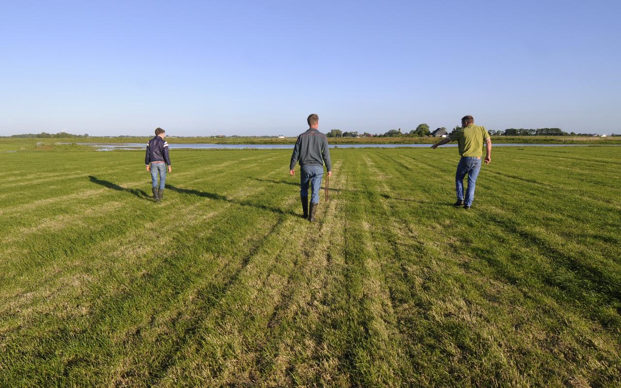 Nazorgers op zoek naar nesten van weidevogels. Nazorgers op zoek naar nesten van weidevogels.