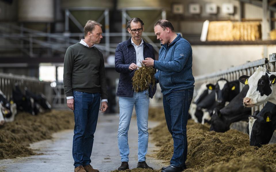 DSM en FrieslandCampina gaan een proef doen met Bovaer. Van links naar rechts: Hein Schumacher (ceo FrieslandCampina), Dimitri de Vreeze  (ceo DSM) en Richard Korrel (boer in Ouderkerk aan de Amstel). 