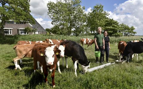 Jan-Eel en Rinske Meindertsma hebben in Wyns biologisch melkveebedrijf Amerijke.