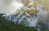 Bosbrand in het Amazone-regenwoud in Brazilië in augustus vorig jaar. 