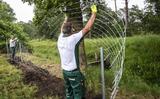 Wolvenhek wordt geplaatst in het land van Rommert Jorritsma in Boijl. 