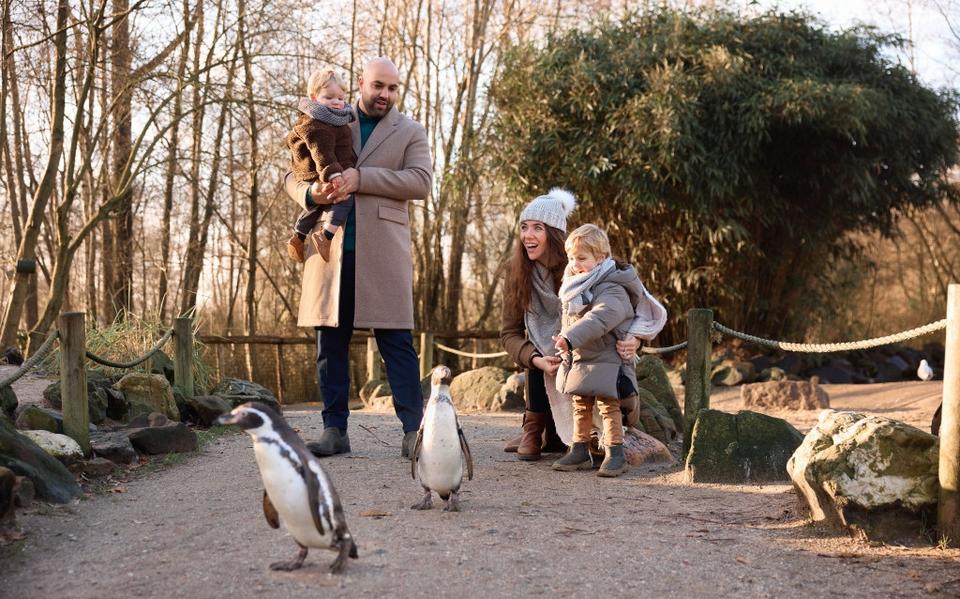 Bezoekers in Aquazoo. 