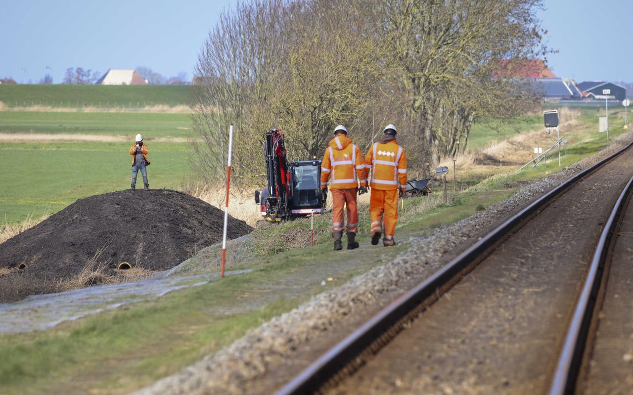 Medewerkers langs het spoor bij Molkwerum waar spoorbeheerder ProRail de dassen mag laten verhuizen. Medewerkers langs het spoor bij Molkwerum waar spoorbeheerder ProRail de dassen mag laten verhuizen.