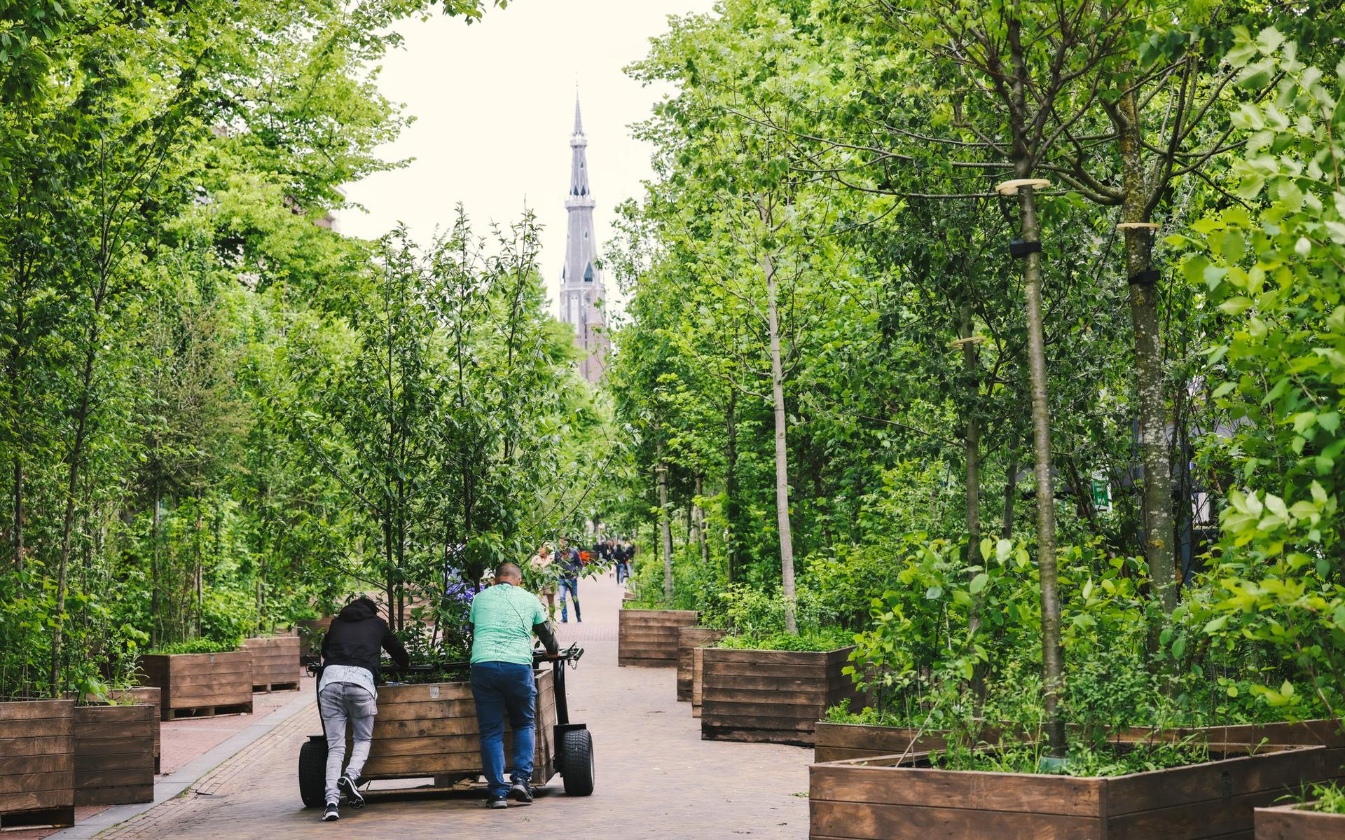 Vijftien projecten in de regio Noordwest-Fryslân kunnen op IMF-subsidie rekenen - Friesch Dagblad