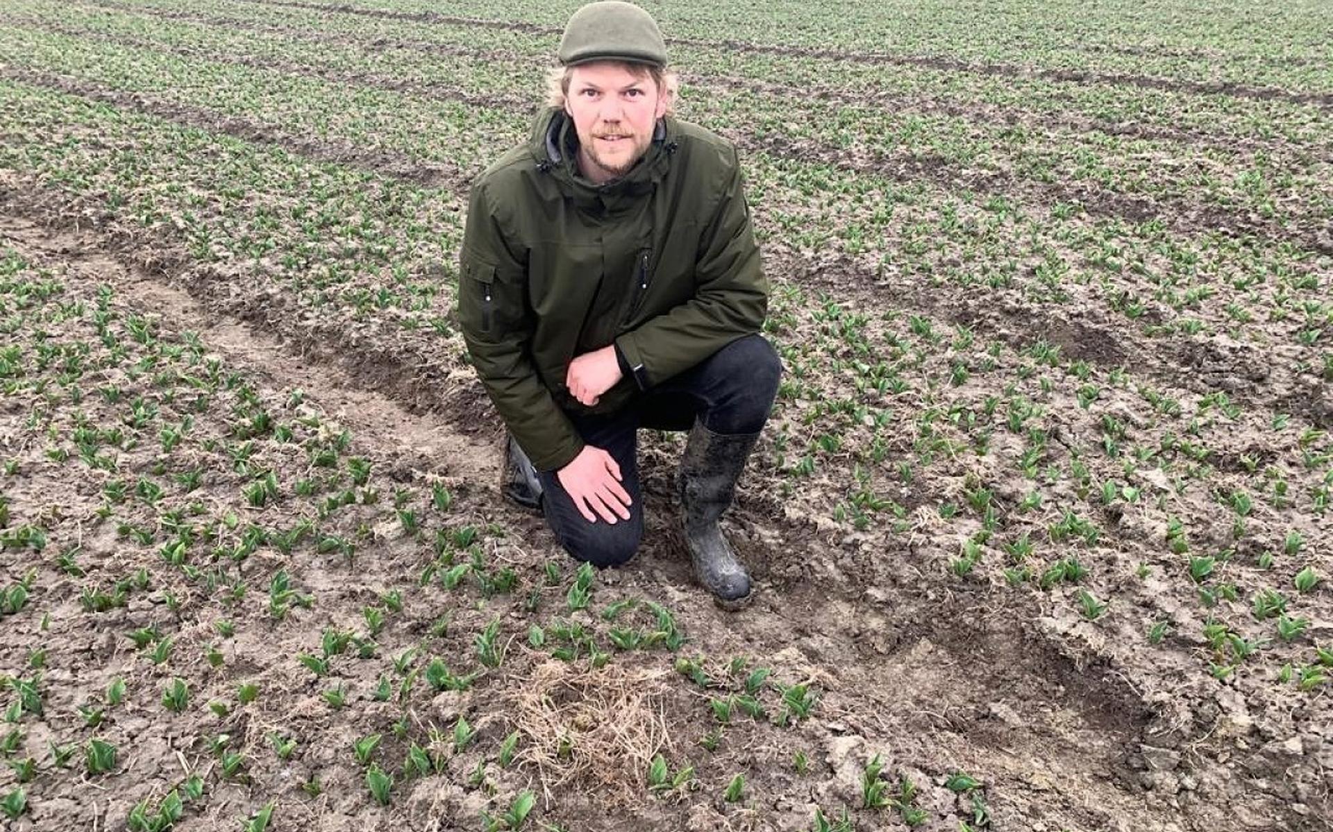 Sjoerd Atze de Vries uit Kimswerd ontdekte het eerste ljipaai van Harlingen maandagochtend in zijn eigen nazorggebied.