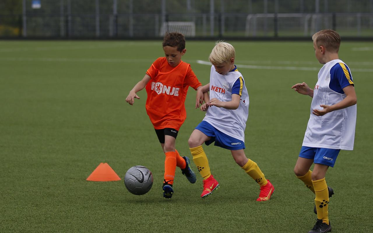 Jeugd in actie bij het Oranjefestival bij Leeuwarder Zwaluwen. Jeugd in actie bij het Oranjefestival bij Leeuwarder Zwaluwen.