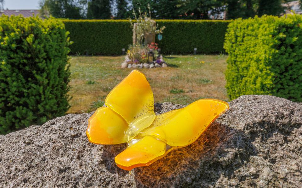De vlinderrots op de begraafplaats in Oosterwolde. In Waadhoeke komen ook vlinderrotsen.