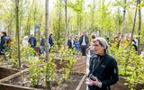 Honderden zangers en zangeressen brachten zaterdag het klanklandschap 'Woud der Stemmen' van componist Merlijn Twaalfhoven ten gehore, en gaven zo de bomen van Arcadia-project 'Bosk' een stem. 